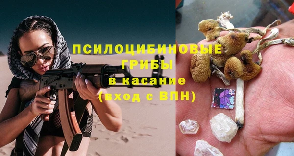 а пвп мука Алагир
