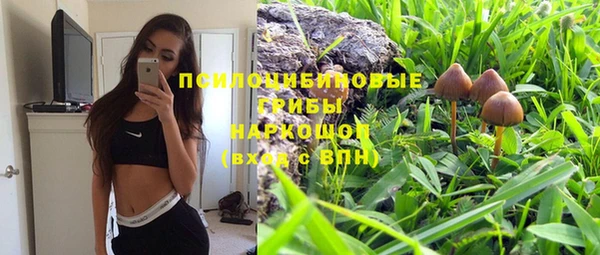 стаф Анива