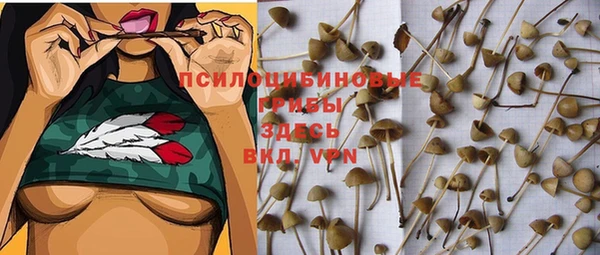 а пвп мука Алагир