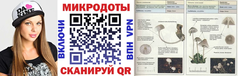 Псилоцибиновые грибы мухоморы  купить наркотики цена  Баксан 