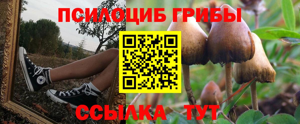Галлюциногенные грибы Cubensis Баксан