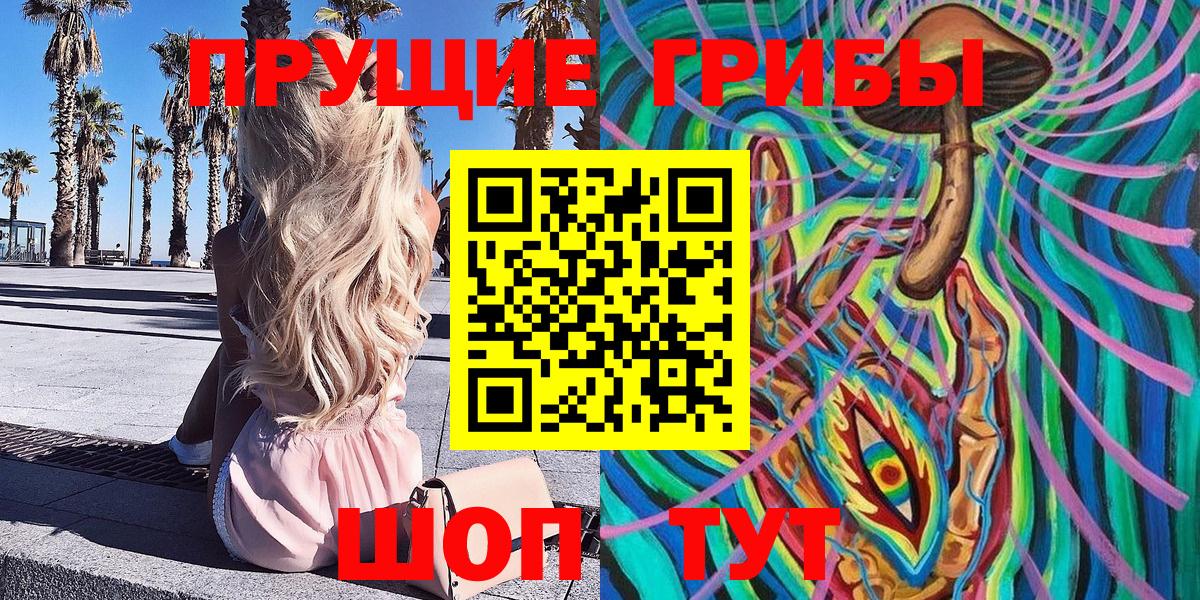 Галлюциногенные грибы Psilocybine cubensis  Вход с VPN  где купить   Баксан  Псилоцибиновые грибы мицелий 